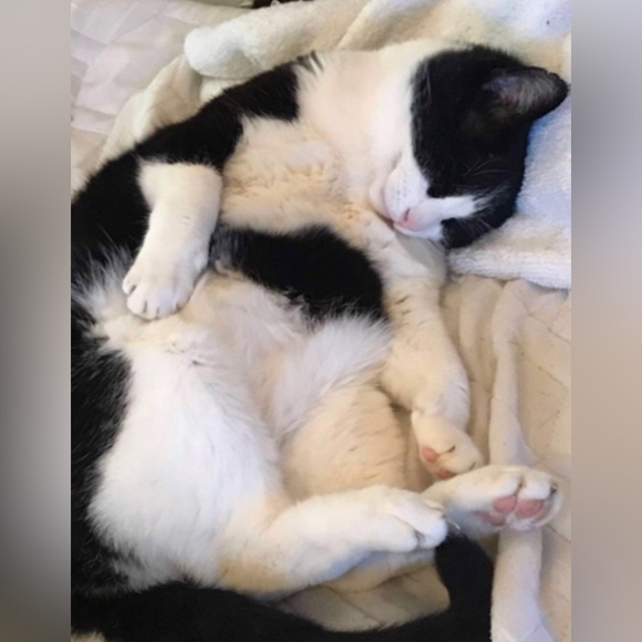 Hi! Thank you for visiting Shadowspond 😊😊😊 - Picture 14 of 16